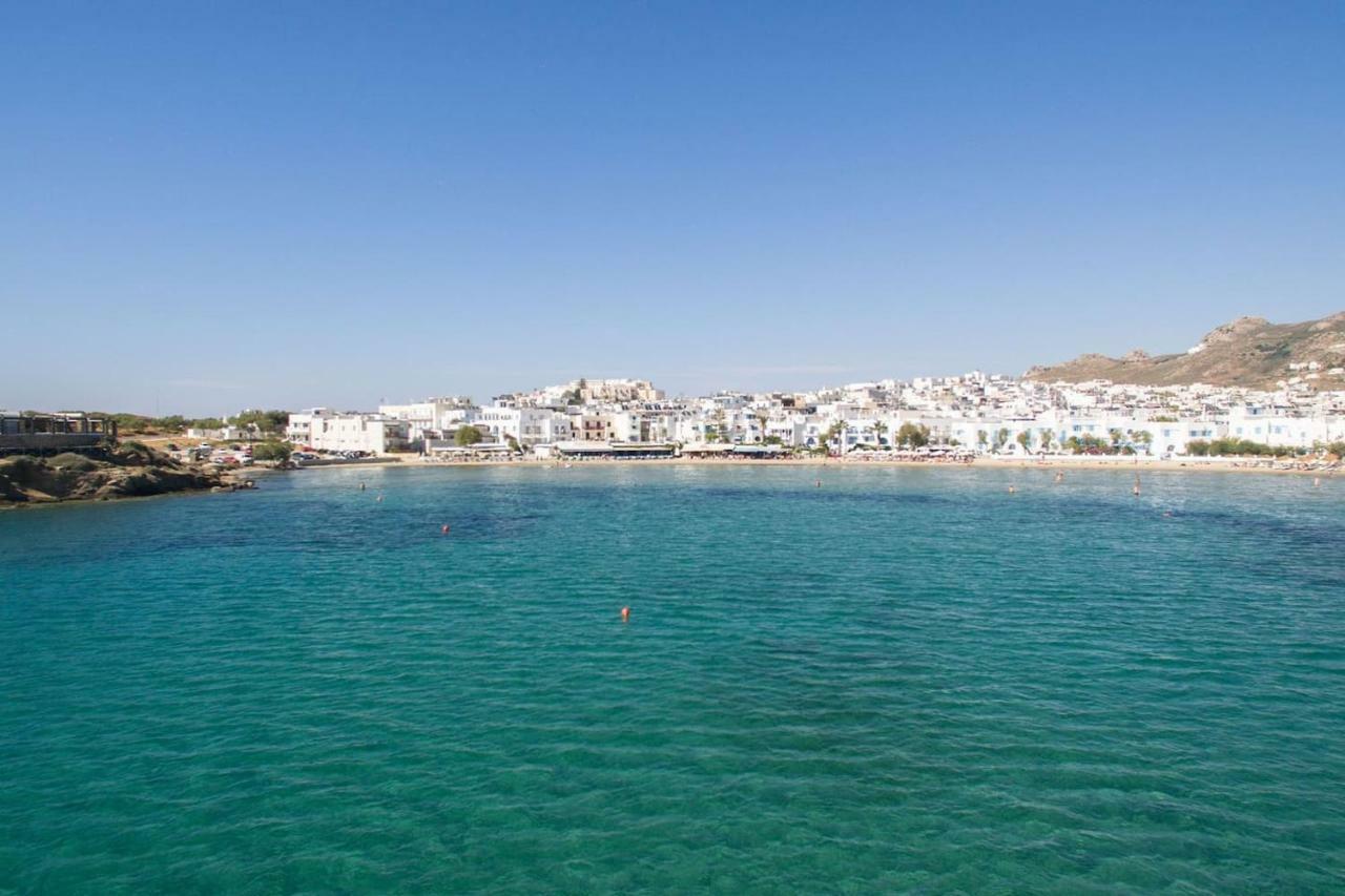 Castle View, Apartment Naxos City Εξωτερικό φωτογραφία